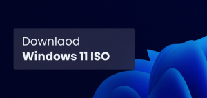 windows 11 iso