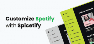 customize spotify