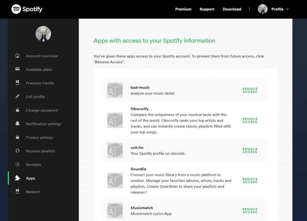 spotify account application access