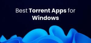 torrent windows client