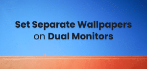 dual monitor separate