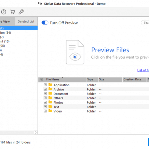 preview stellar lost files