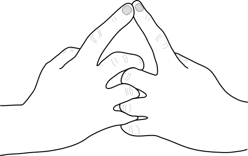 All Hand Signs in Naruto & Their Meanings 9 image 127