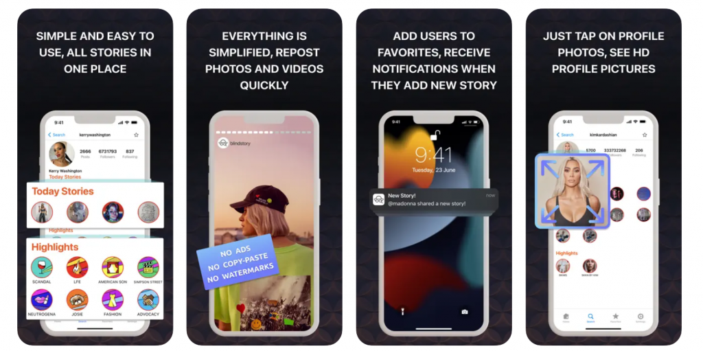 Best Instagram Story Viewer Tool 1 image 23