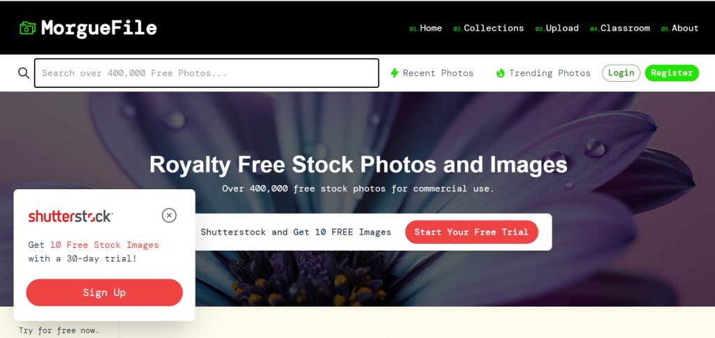 15 Best Free Stock Photo Sites 15 image 18