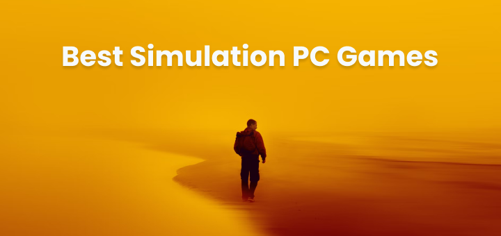 simulation pc games