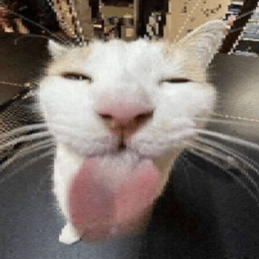 Roblox Cat Decal IDs (June 2026): Cute, Funny, and Meme Cat Codes 21 cat