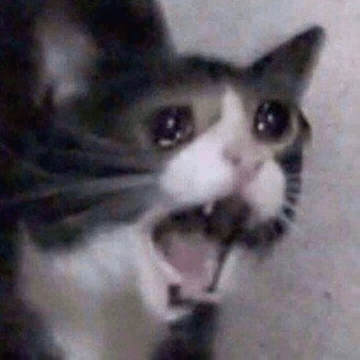 Roblox Meme Decal IDs (June 2026): Working Meme Image IDs 9 Crying Cat Meme