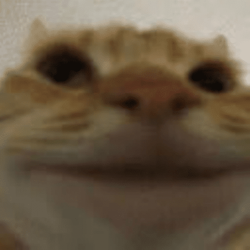 Roblox Meme Decal IDs (June 2026): Working Meme Image IDs 11 funny cat meme