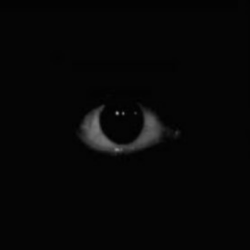 Roblox Cursed Decal IDs (June 2026): Best Cursed Image Codes 5 Creepy eye