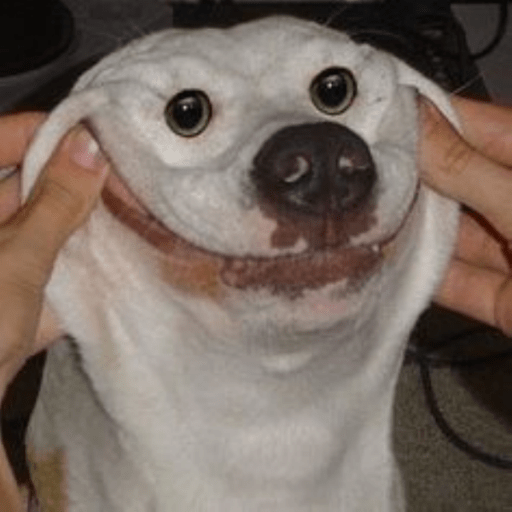Roblox Funny Decal IDs (June 2026): Best Hilarious Decal Codes 12 Funny dog face