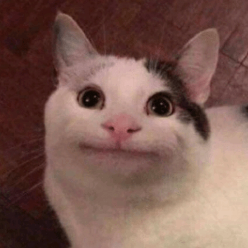 Roblox Cat Decal IDs (June 2026): Cute, Funny, and Meme Cat Codes 18 cat