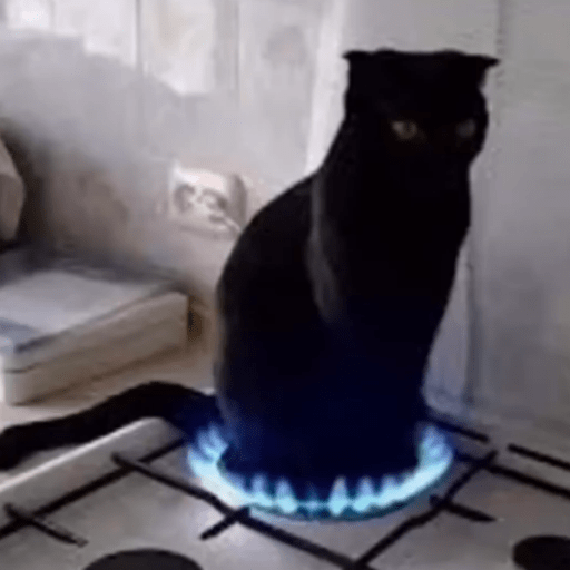Roblox Cat Decal IDs (June 2026): Cute, Funny, and Meme Cat Codes 2 cursed baking cat