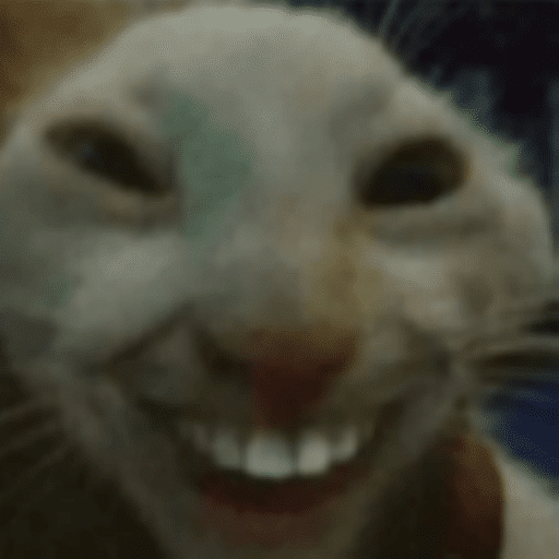 Roblox Meme Decal IDs (June 2026): Working Meme Image IDs 10 sussy jerma's face cat meme