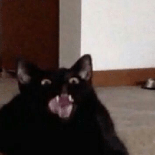 Roblox Cat Decal IDs (June 2026): Cute, Funny, and Meme Cat Codes 13 cat cat