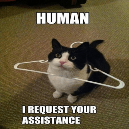Roblox Funny Decal IDs (June 2026): Best Hilarious Decal Codes 3 Funny Cat Meme