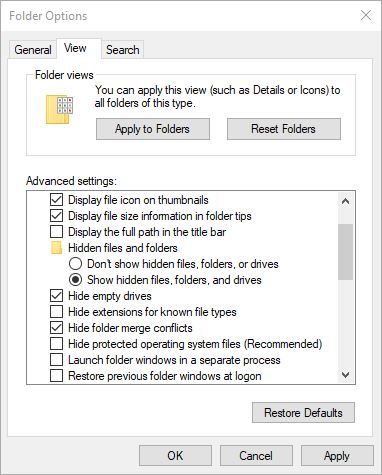 folder option show system file
